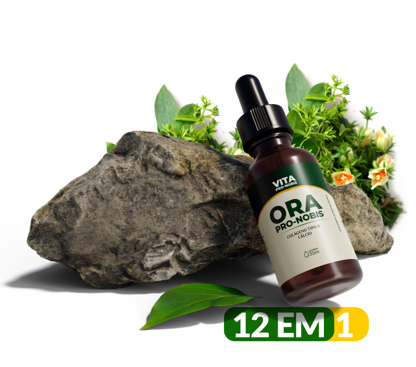 ora pro nobis